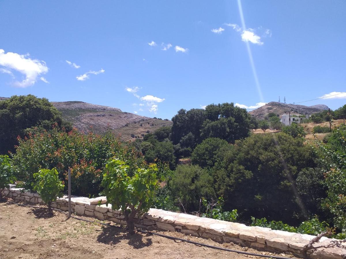 Imellos Απέραθος Εξωτερικό φωτογραφία